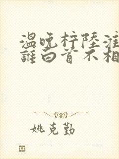 温晚柠陆淮川与谁白首不相离阅读全文