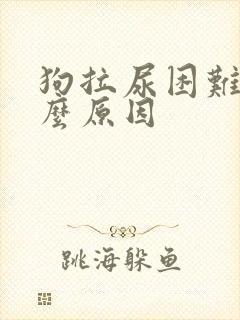 狗拉尿困难是什么原因