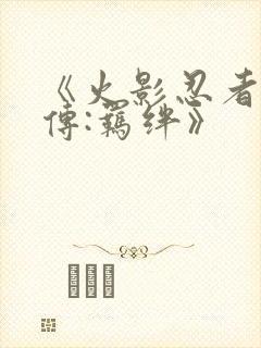 《火影忍者疾风传:羁绊》