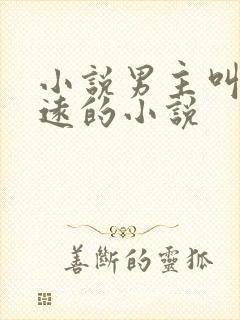 小说男主叫林致远的小说