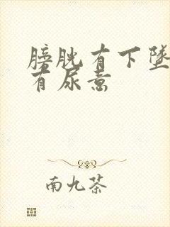 膀胱有下坠感老有尿意