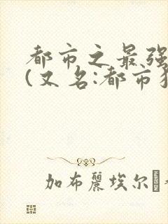 都市之最强狂兵(又名:都市狂枭) 大红大紫