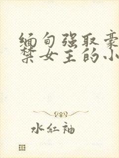 缅甸强取豪夺囚禁女主的小说