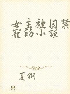 女主被囚禁当禁宠的小说