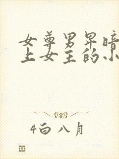 女尊男卑暗卫爱上女主的小说