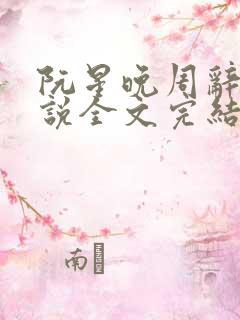 阮星晚周辞深小说全文完结阅读免费