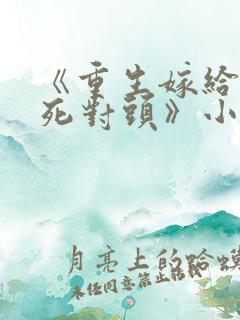 《重生嫁给前夫死对头》小说