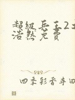 超级兵王2之叶浩然免费