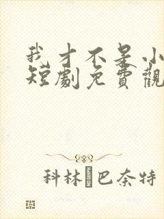 我才不是小可怜短剧免费观看