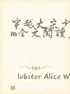 穿越大宋少帝赵m全文阅读免费