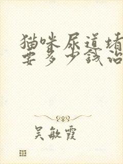 猫咪尿道堵塞需要多少钱治疗