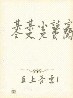 某某小说完整版全文免费阅读