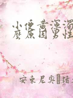 小便黄浑浊是什么原因男性