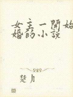 女主一开始就离婚的小说