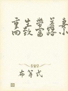 重生带着妻儿走向致富路小说全文阅读