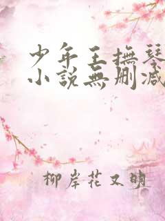 少年王抚琴的人小说无删减正版在线阅读