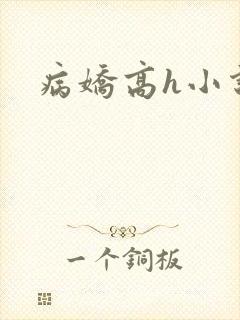 病娇高h小说