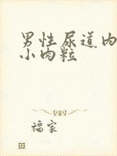 男性尿道内口长小肉粒