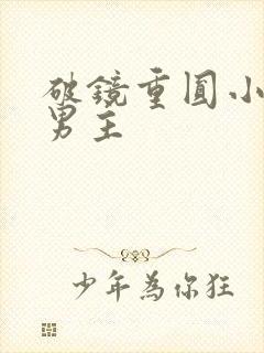 破镜重圆小说双男主