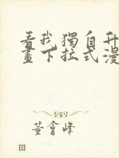 看我独自升级漫画下拉式漫画