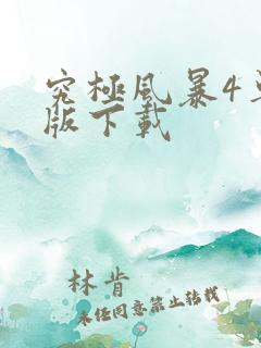 究极风暴4单机版下载