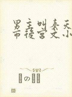 男主叫秦天的都市后宫文小说