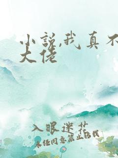 小说,我真不是大佬