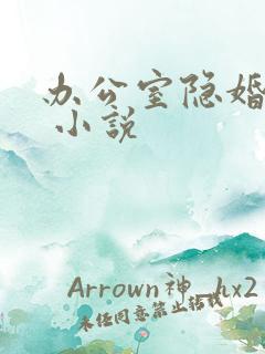 办公室隐婚轻黯 小说