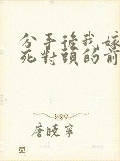 分手后我嫁给了死对头的前男友正版