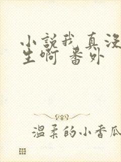 小说我真没想重生啊 番外