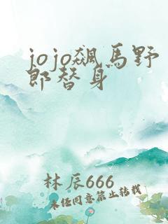 jojo飙马野郎替身