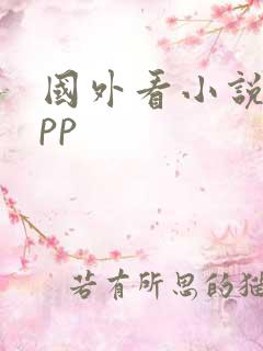 国外看小说的app