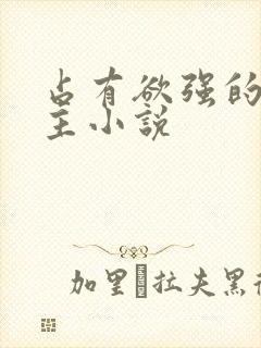 占有欲强的双男主小说