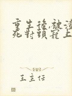 重生后,被渣男死对头宠上天