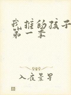 我推的孩子动漫第一季