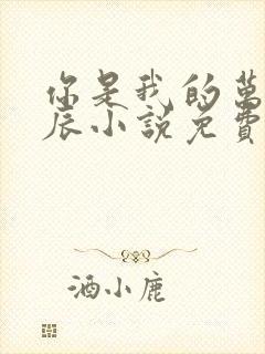 你是我的万千星辰小说免费阅读