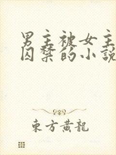 男主被女主改造囚禁的小说