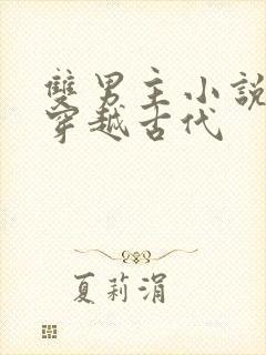 双男主小说推荐穿越古代