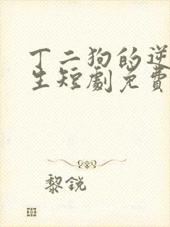 丁二狗的逆袭人生短剧免费