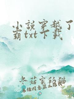 小说穿越了的学霸txt下载