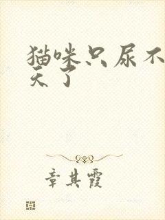 猫咪只尿不拉4天了