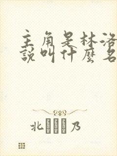 主角是林洛的小说叫什么名字