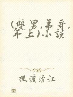 (双男,弟哥,年上)小说