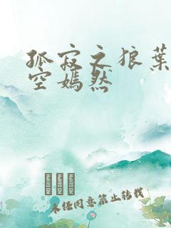 孤寂之狼叶凡司空嫣然