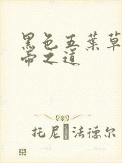 黑色五叶草魔法帝之道