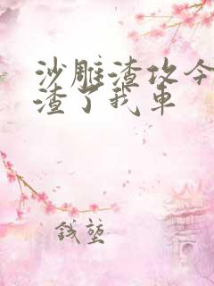 沙雕渣攻今天又渣了我车