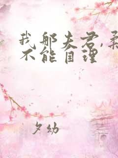 我那夫君,柔弱不能自理