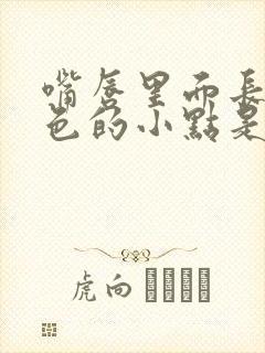 嘴唇里面长了白色的小点是什么原因