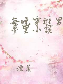 每晚穿进男神的梦里小说