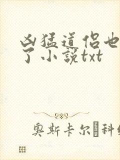 凶猛道侣也重生了小说txt